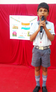 REPUBLIC DAY CELEBRATION